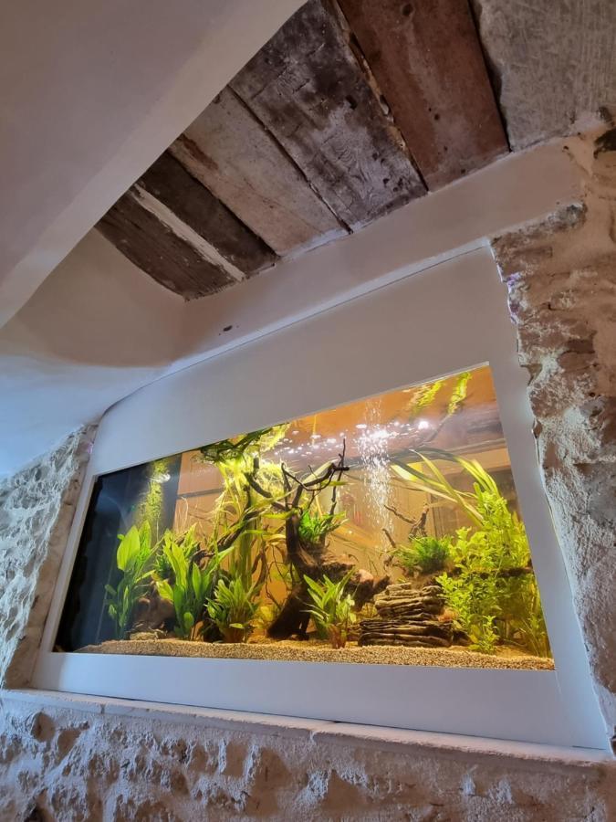 Piscine troglodyte avec vue incroyable à Gordes Vila Exterior foto
